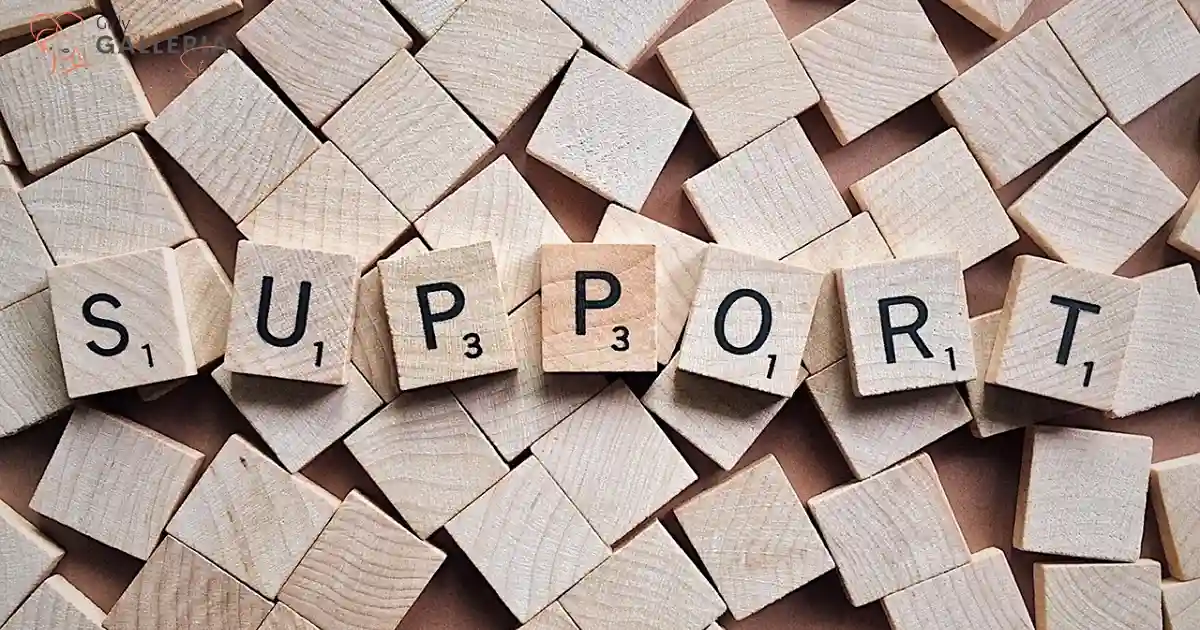 How to Outsource Customer Support for Entrepreneurs?